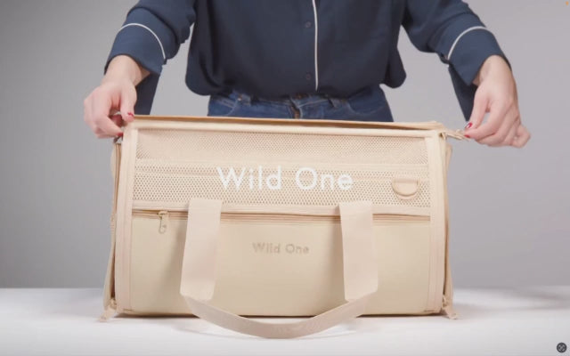 Load video: wild one pet airline carrier